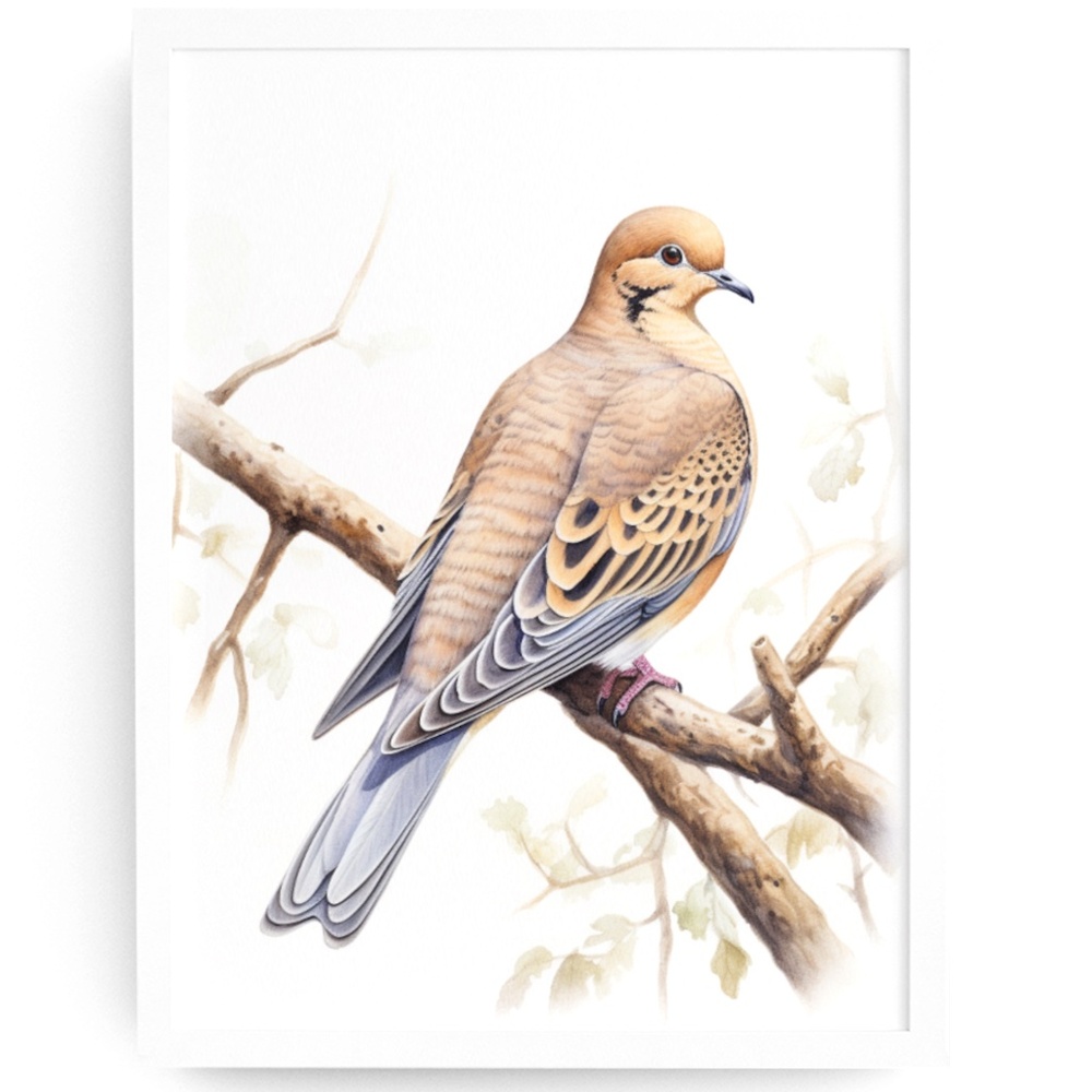 Watercolor Mourning Dove Bird Portrait Wall Art Illustration Print Unframed